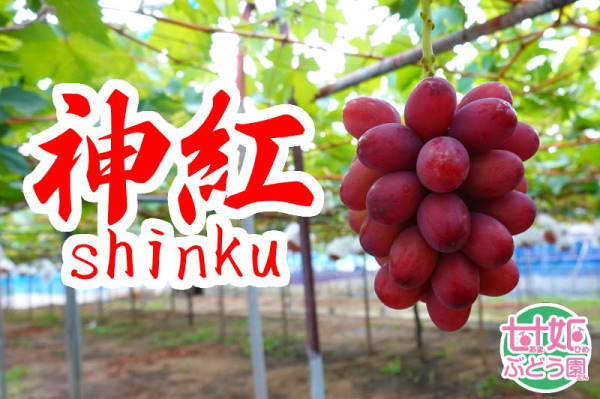 shinku